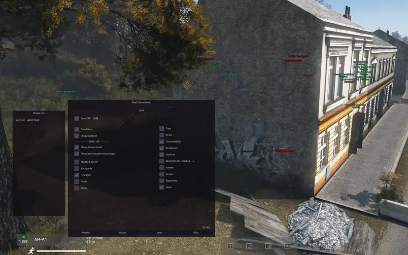 Dayz