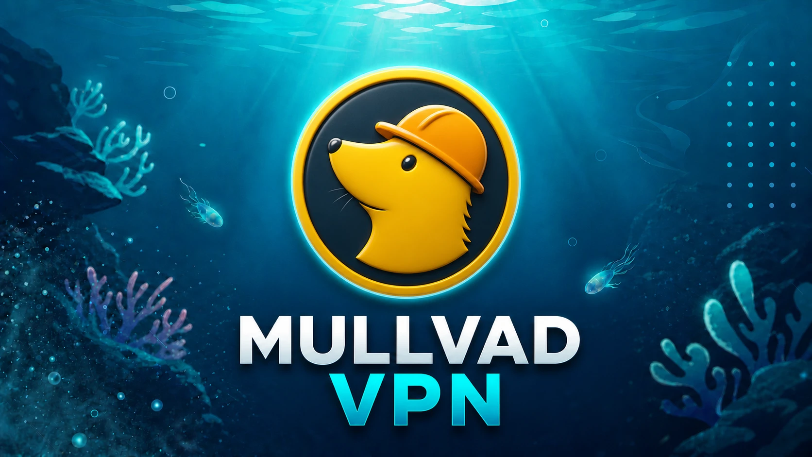 Mullvad VPN [ Lifetime ]