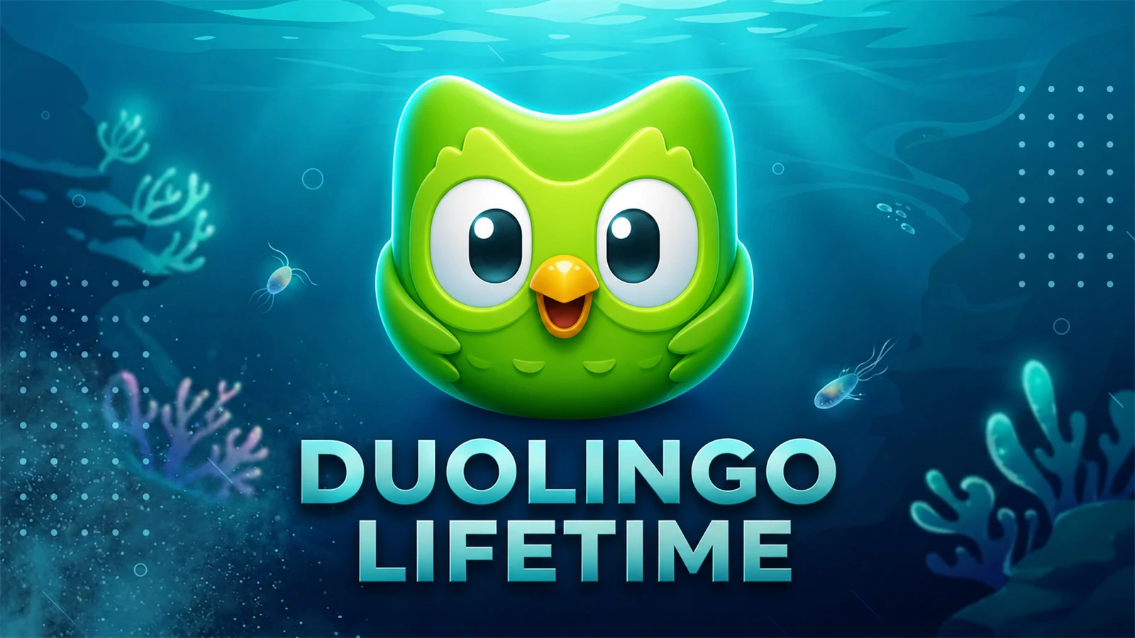 Duolingo [ Lifetime ]