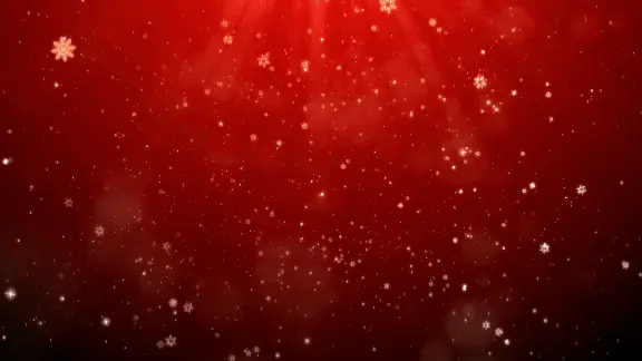 DSports Tv