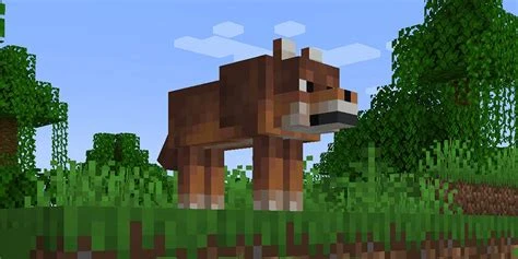 Wolf