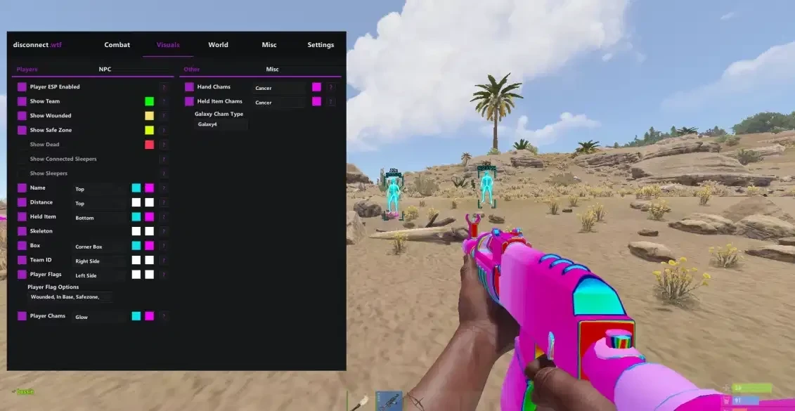 Disconnect Rust Internal