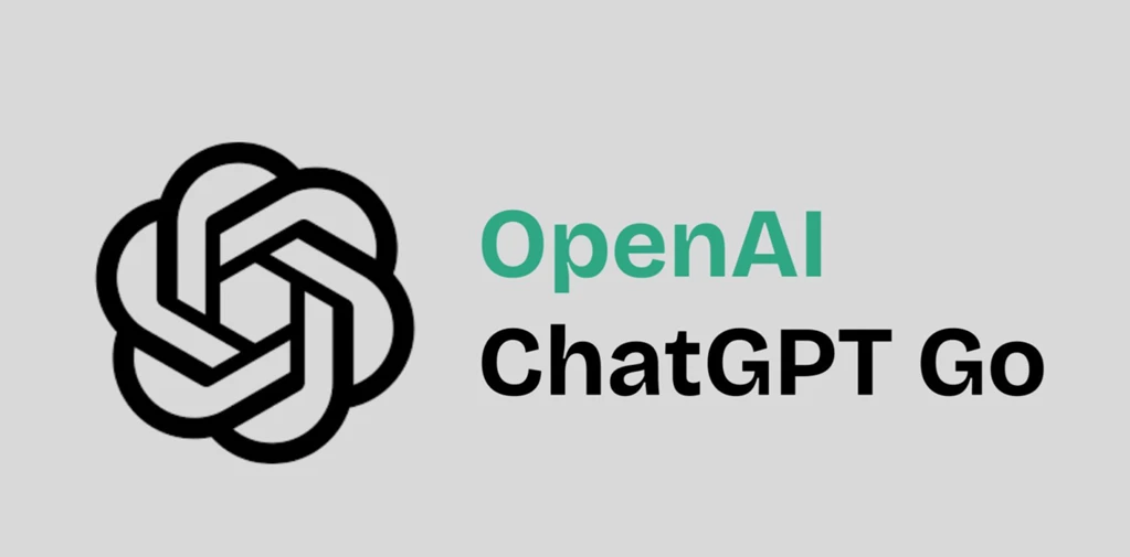 ChatGPT GO - 12 Months - Private