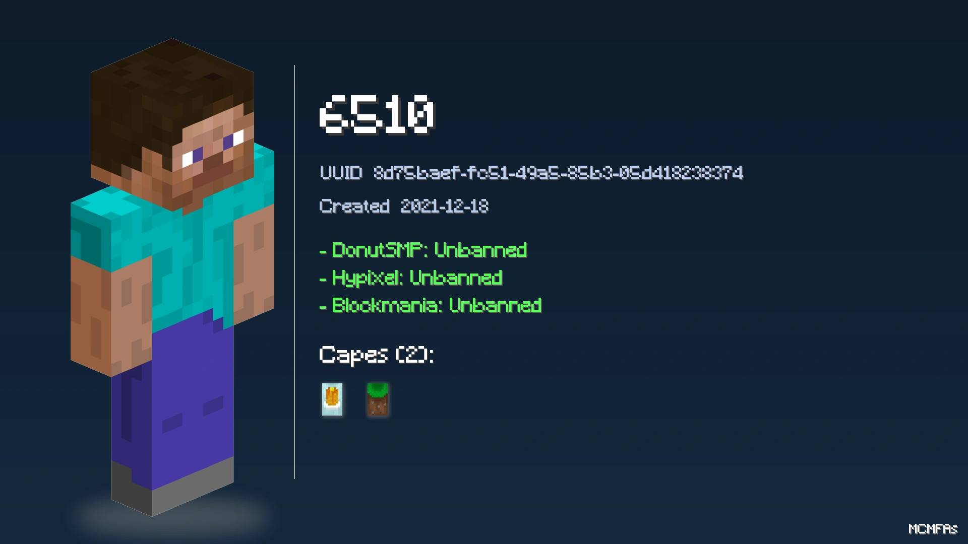 6510 | Minecraft 4n