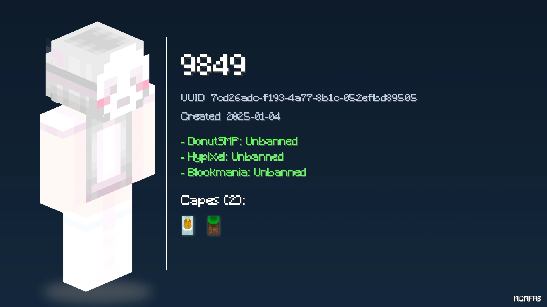 9849 | Minecraft 4n