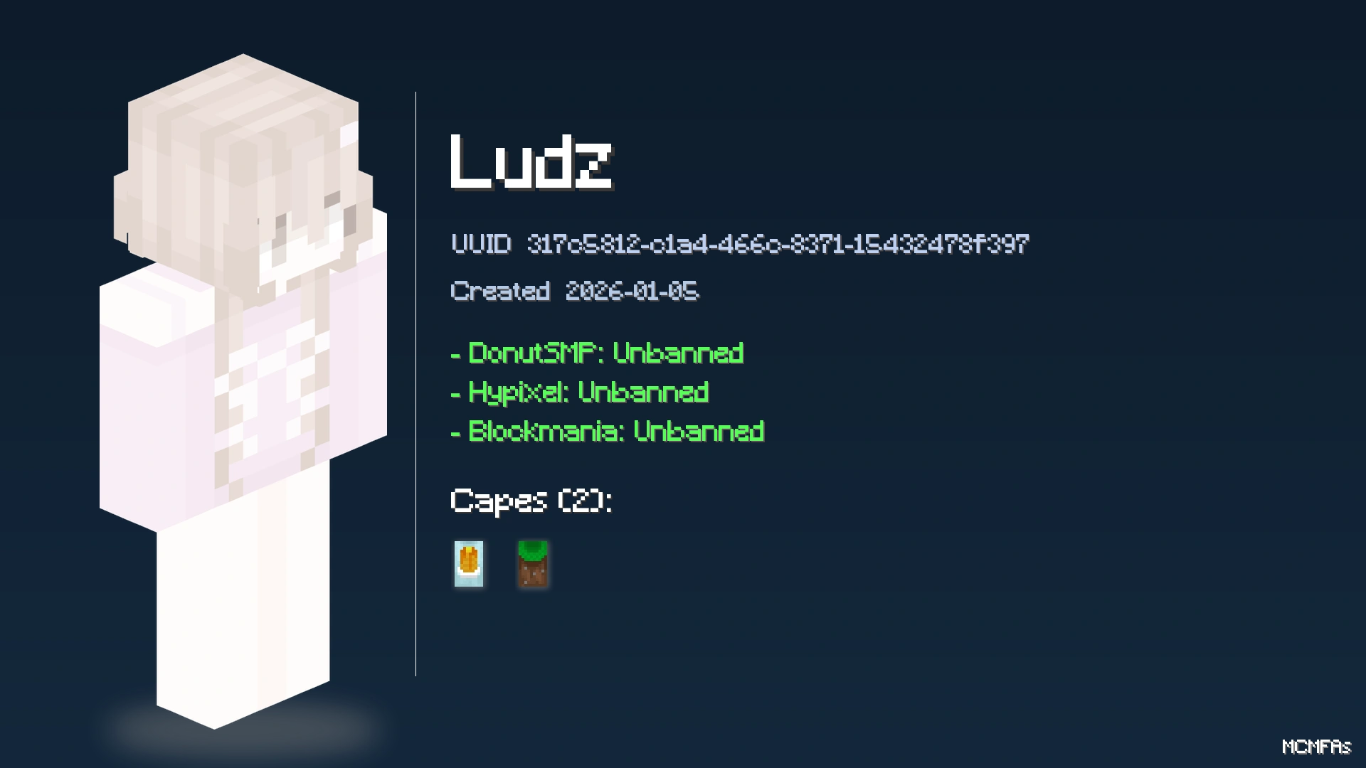 Ludz | Minecraft Nice Name