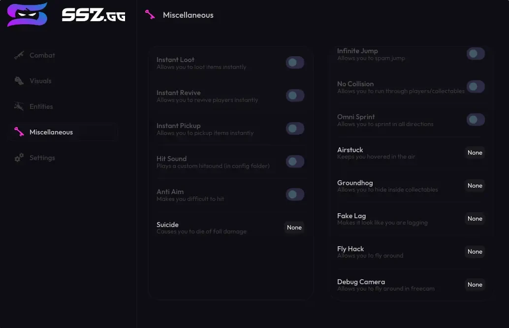 SSZ External 1 day