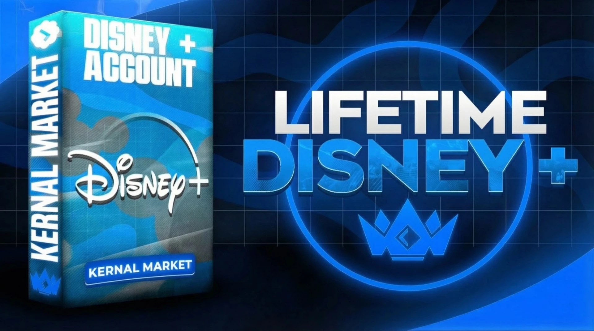 Disney [ 1 Year ]