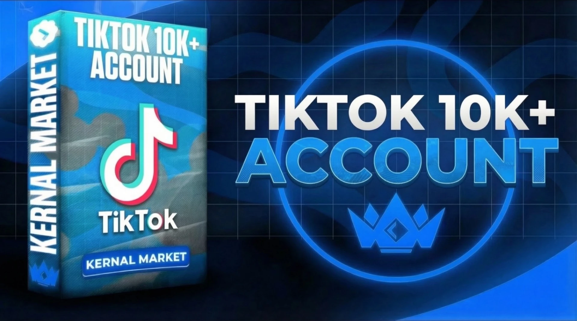 TikTok [ 10k Flw ]