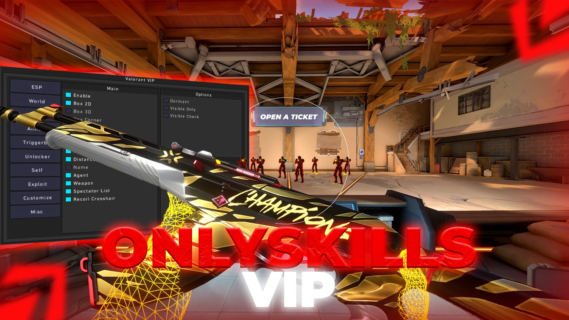 Valorant VIP