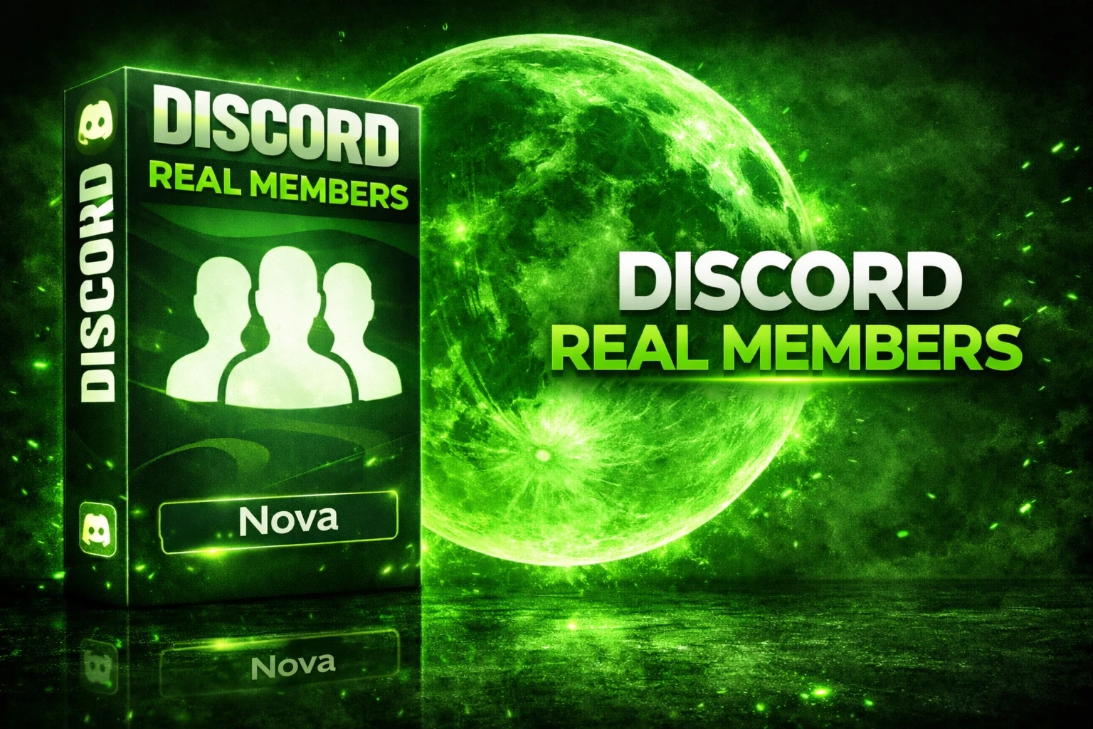 Discord Real Members