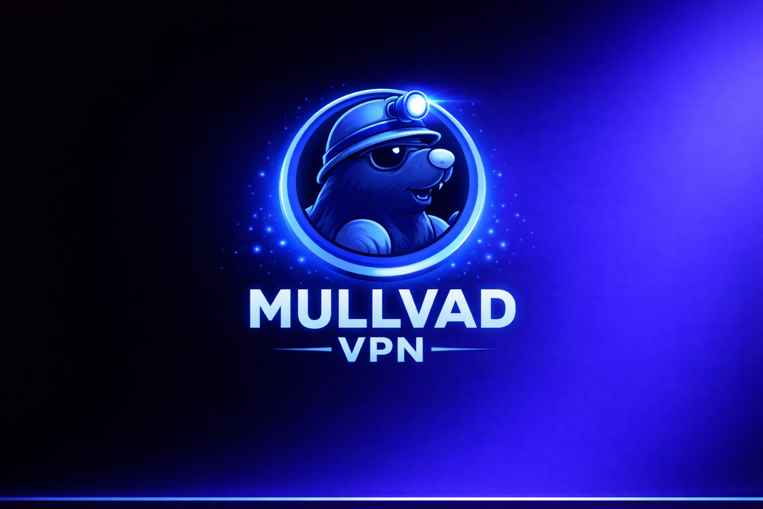 MULLVAD VPN