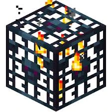10 Skeleton Spawners