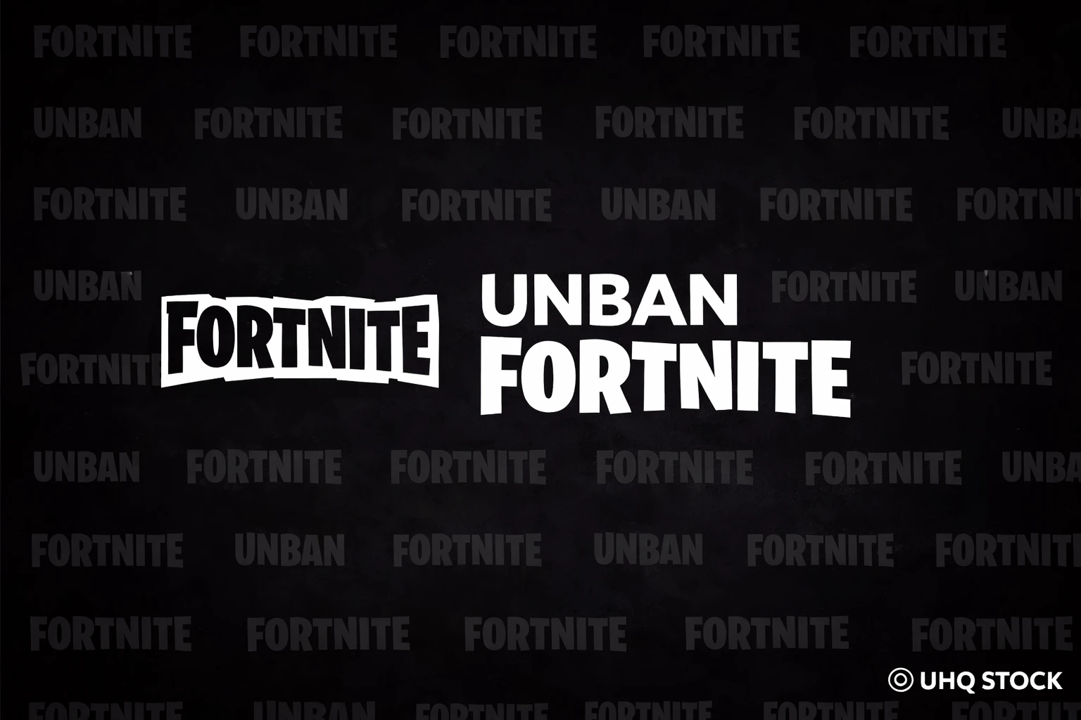 Unban Fortnite
