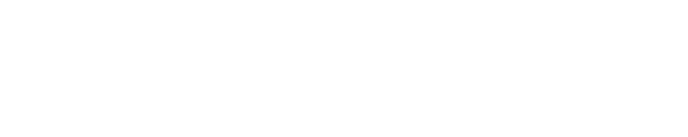 SUPERIOR SOFTWARE