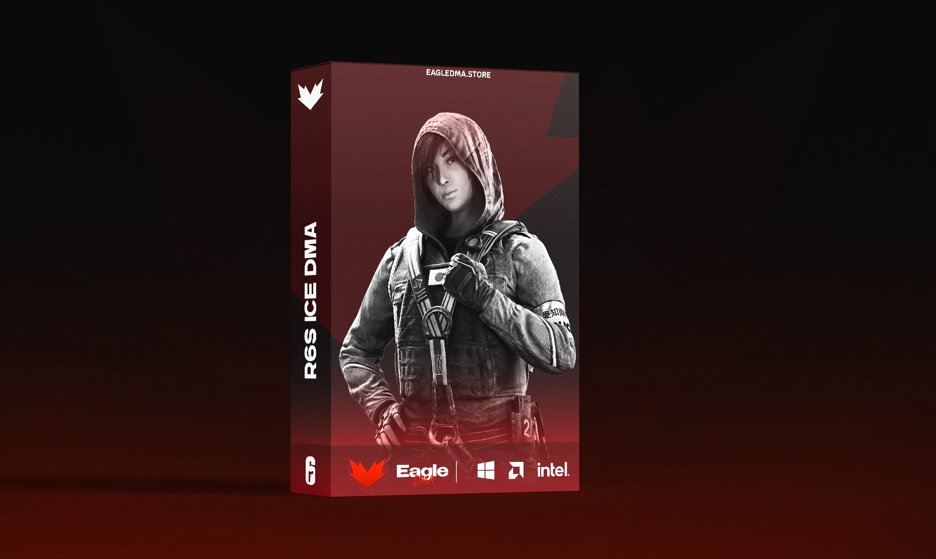 R6S ICE DMA