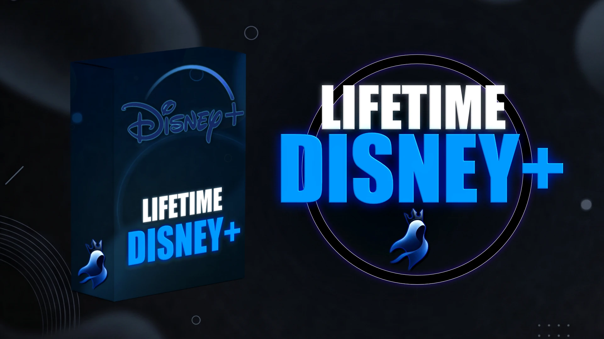DISNEY NFA