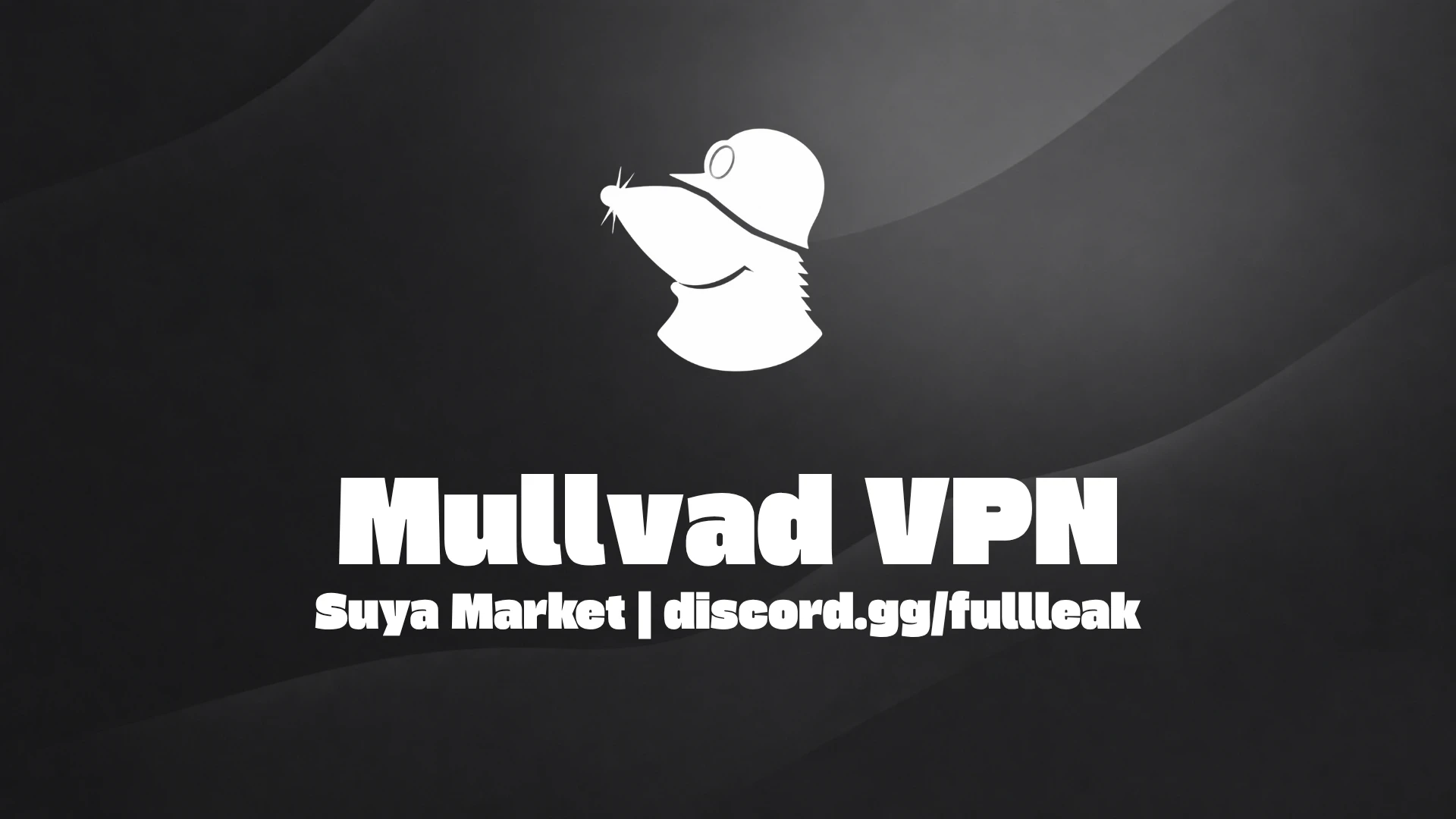 Mullvad VPN