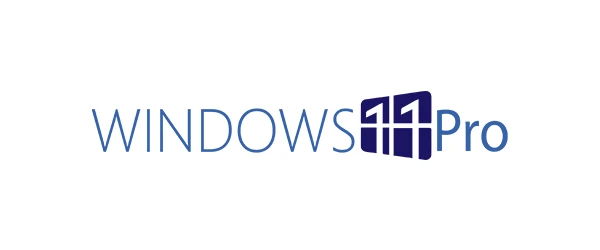 Windows 11 Pro Key lifetime private