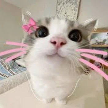 Kitty Alts #1 Alt Shop